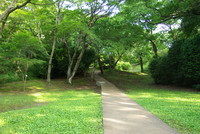 佐倉城址公園5