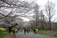 青葉の森公園 1