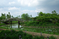 水郷佐原 水生植物園 1