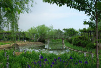 水郷佐原 水生植物園 2