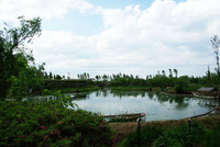 水郷佐原 水生植物園 4