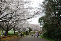 青葉の森公園3