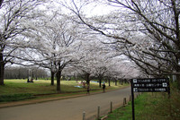 青葉の森公園2