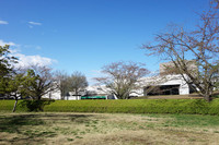 佐倉城址公園4