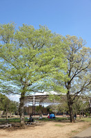 アンデルセン公園1