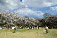 20140405-03.jpg