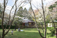 20140405-23.jpg