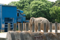 千葉市動物公園4