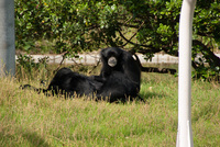 千葉市動物公園13