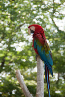 千葉市動物公園31