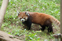 千葉市動物公園21