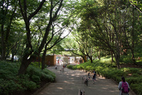 千葉市動物公園20