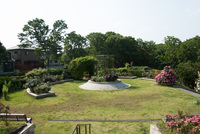 千葉市都市緑化植物園3