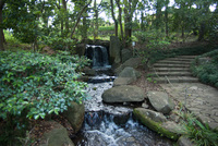 千葉市都市緑化植物園6