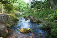 千葉市都市緑化植物園8