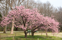 青葉の森公園1 class=