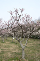 青葉の森公園3