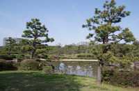 稲毛海浜公園5