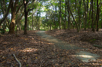 稲毛海浜公園4