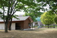 手賀沼公園 7