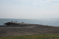 幕張海浜公園 1