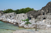 葛西臨海水族園 8