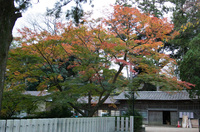 筑波神社 3