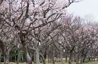 青葉の森公園 1