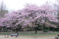 青葉の森公園 6