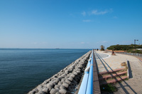 袖ヶ浦海浜公園 1