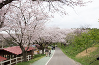 成田ゆめ牧場 1