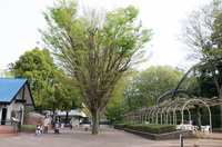 市川市動植物園 10