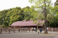 市川市動植物園 13