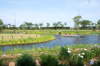 水郷佐原水生植物園 1