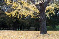 青葉の森公園 2