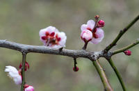 青葉の森公園 4