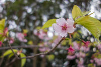 稲毛海浜公園 6