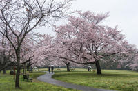 泉自然公園 1