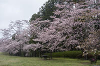 泉自然公園 3