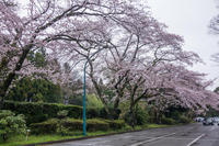 泉自然公園 6