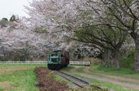 成田ゆめ牧場 2