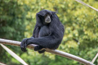 千葉市動物公園 2