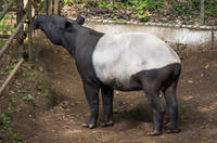 千葉市動物公園 9