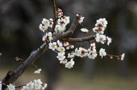 青葉の森公園 4