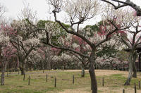 青葉の森公園 1