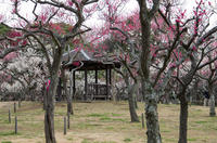 青葉の森公園 2