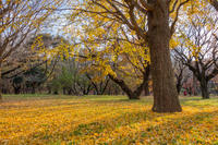 青葉の森公園 1