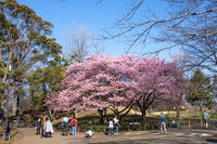 青葉の森公園 1