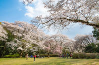 泉自然公園 1