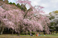 泉自然公園 2